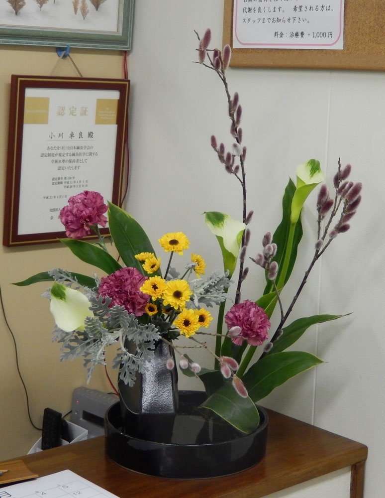 今週のお花 カラー ダスティーミラー ネコヤナギ スプレーマム カーネーション ドラセナ 新宿の鍼灸院 杏林堂